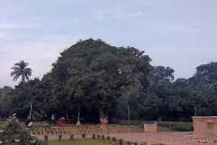 IMG-20241219-WA0080