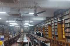 IMG-20241219-WA0096