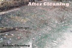 CleanIndiaCampaign10
