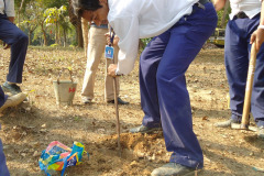 Cleanliness-5