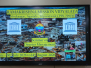 Disaster Management Training and Workshop