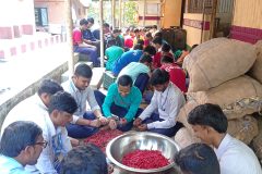 IMG-20250201-WA0059-scaled